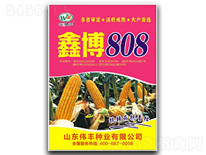 �β�808-���׷N��-���S�N�I(y��)