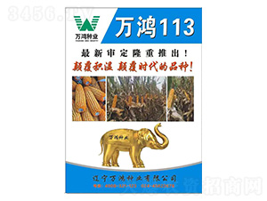 ���׷N��-�f��113-�f���N�I(y��)