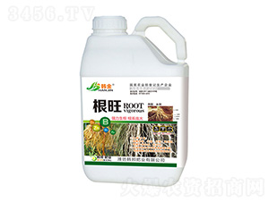 ��������ˮ�ܷ���-����-�n��-�n��ʘI(y��)