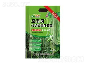 �fԪ�ؼӏ�(qi��ng)�����L(zh��ng)��ֱ���v��-�n��-�n��ʘI(y��)