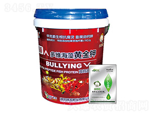 ���}����Ͷ�S�����S���-�n��-�n��ʘI(y��)