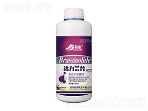 �ӏ�(qi��ng)���ЙC(j��)ˮ�ܷ���-�����|�_-�n��-�n��ʘI(y��)