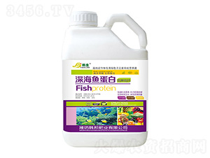 ��⛸��}��~����-�n��-�n��ʘI(y��)