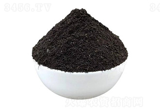 �l(f��)���u�S�ЙC(j��)��-�����ʘI(y��)