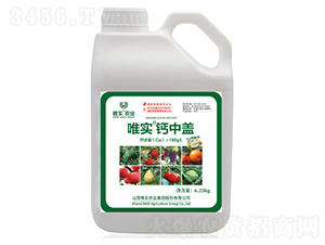 Ψ�����}���w