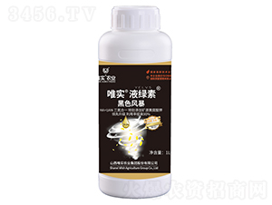 ��ɫ�L(f��ng)��-Ψ��(sh��)��Һ�G��