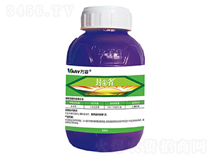 81%ມ���������������-��ʡ-�f(w��n)��