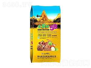 ������ӹ��Ɍ��Ó������20-8-10-�����58-��ÿ��-���|�_(d��)�ʘI(y��)