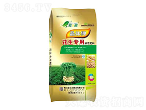 �������Ó����-������-���|�_(d��)�ʘI(y��)