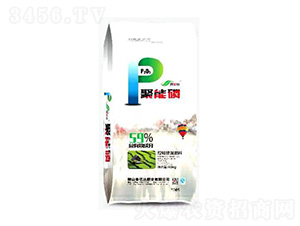 ��ጓ������-������-������-���|�_(d��)�ʘI(y��)