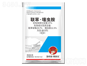 37%�������x���Ҹ���-���r��(chu��ng)�����Ԫ-���r��