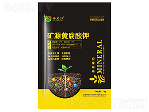 �VԴ�S�����-������