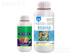 ��Ƭ��G���L-��չ-���Q