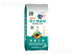 ΢�������-�������-���A����