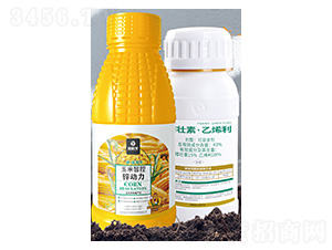 43%�����ء���ϩ��-�����\����-����S