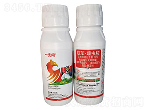 10%(li��n)�������x(ch��ng)���Ҹ���200g-һ֧�e-�G������