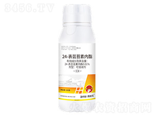 24-���|̦�؃�(n��i)������Һ��100g-���r��(chu��ng)�����Ԫ-���r��