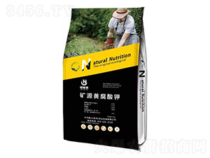 �VԴ�S�����-�~���R-����ɭ