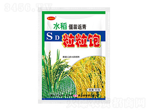 ˮ�����緵�������-������ؐ-ʥ��ʘI(y��)