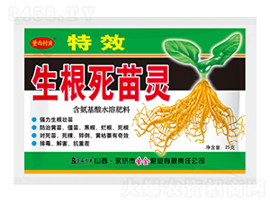 ���������`-������ؐ-ʥ��ʘI(y��)