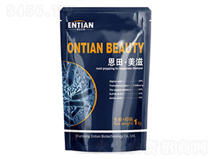 ���塤΢�������-�������-��������