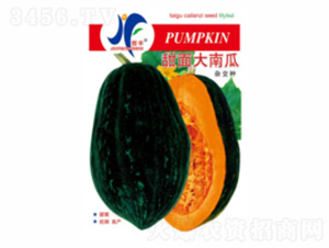 ������Ϲ�-�x�S-��ʢ�S