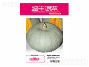 ʢ�S�y��-��ʢ�S