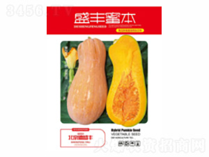 ʢ�S�۱�-��ʢ�S