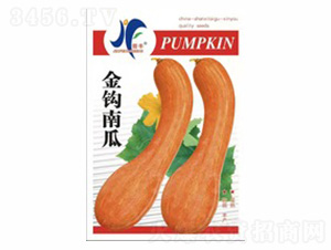 金鉤南瓜-晉豐-德盛豐