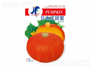 �ձ��t����-�x�S-��ʢ�S