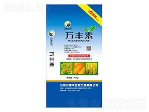 40kg�f�S��-�f���S