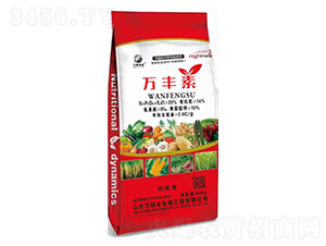 ������f�S��-�f���S