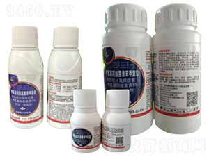 5%�װ������S���ر������}΢�鄩-���r(n��ng)��̩