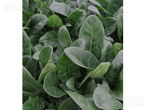 �ǻ�159-���˷N��-���r(n��ng)�r(n��ng)�I(y��)