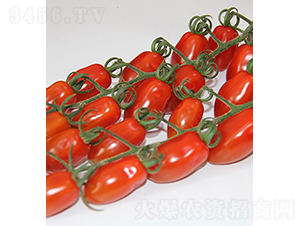 ���r(n��ng)148-С���ѷN��-���r(n��ng)�r(n��ng)�I(y��)