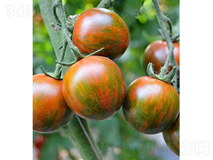 ���r(n��ng)������-С���ѷN��-���r(n��ng)�r(n��ng)�I(y��)