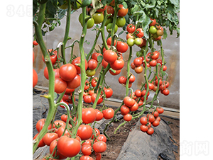 ���r(n��ng)�W��218-���ѷN��-���r(n��ng)�r(n��ng)�I(y��)