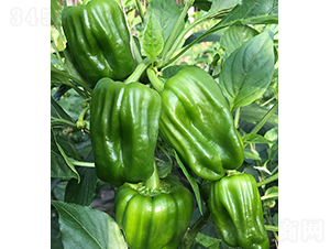 ���r(n��ng)������92-�����N��-���r(n��ng)�r(n��ng)�I(y��)