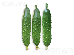 ���r(n��ng)�G��8̖(h��o)-�S�ϷN��-���r(n��ng)�r(n��ng)�I(y��)