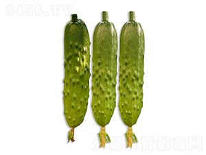 ���r(n��ng)�G��2̖-�S�ϷN��-���r(n��ng)�r(n��ng)�I(y��)