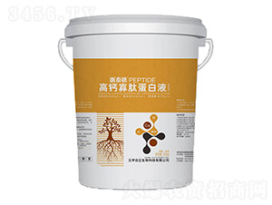 ���}���ĵ���Һ-��̩��-Ԫ����������