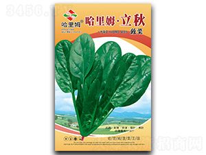 ����ķ����-���˷N��-����ķ