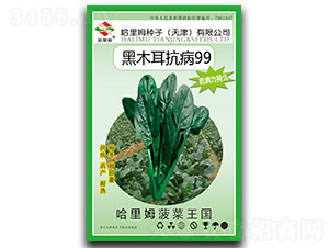 ����ķ��ľ������99-���˷N��-����ķ