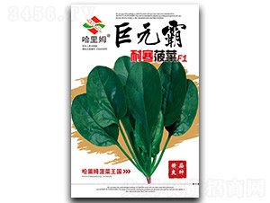 ��Ԫ���ͺ�����-���˷N��-����ķ