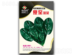 ��������-���˷N��-����ķ