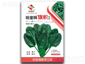 ���-���˷N��-����ķ