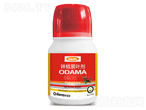 ����չ�~��-�W����