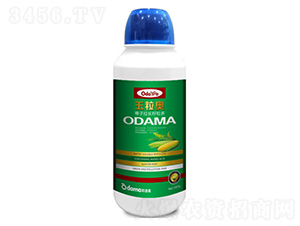 玉粒奧-棒子拉長籽粒多-歐道麥