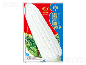 ���׷N��-�����Ŵ999-�����r(n��ng)�I(y��)