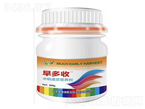 水稻灌漿營(yíng)養(yǎng)劑-早多收-奧雷德斯